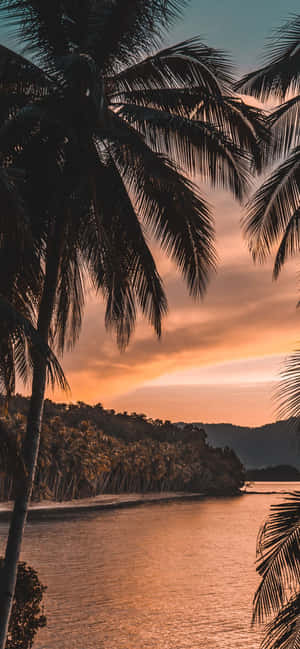 1170x2532 — Huawei nova 16 Taustakuvat
