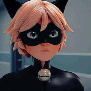 Kuvia Mustasta Kissasta — Cat Noir Taustakuvat