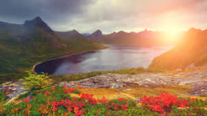 5120x2880 — 5120x2880 Taustakuvat