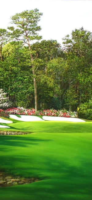 Iphone X Golfkenttätausta — POCO M7 Plus Taustakuvat