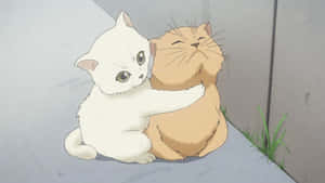 Animekissakuvia — Animekissa Taustakuvat