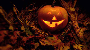 Vintage Halloween Kurpitsa Maissipelto. — Vintage Halloween Taustakuvat
