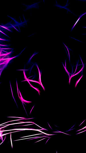 violetti ja pinkki tiikeri mustalla taustalla — Neon violetti Taustakuvat
