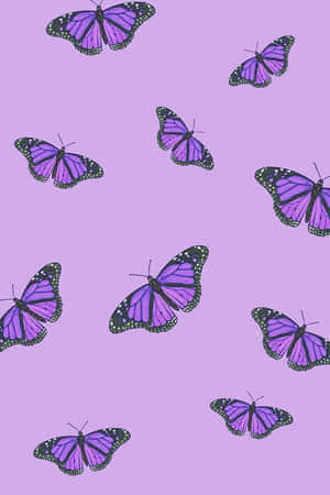 Söpö violetti tausta — Söpö violetti Taustakuvat