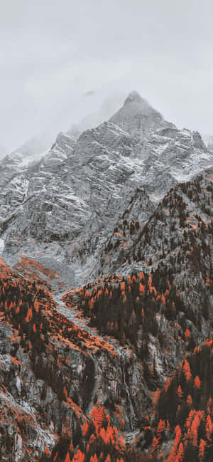 1170x2532 — Oppo Reno Taustakuvat