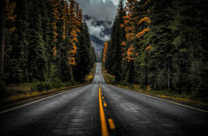 Washington State Route 410 -taustakuva — Hämärä Taustakuvat