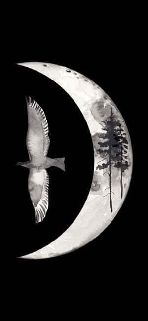 1080x2340 — Ranta Taustakuvat