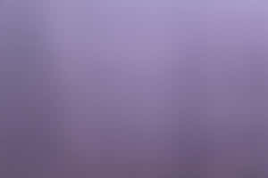 Yksivärinen violetti tausta — MacBook Air M3 Taustakuvat
